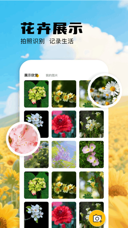 扫描识万物正版