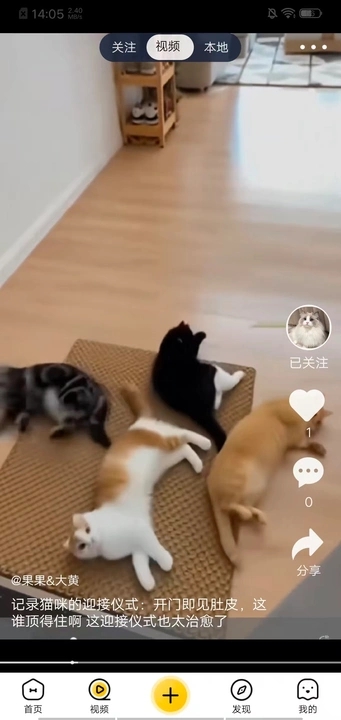 养宠汇最新版图4