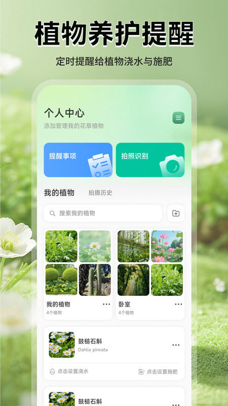 猫满花语手机版图3