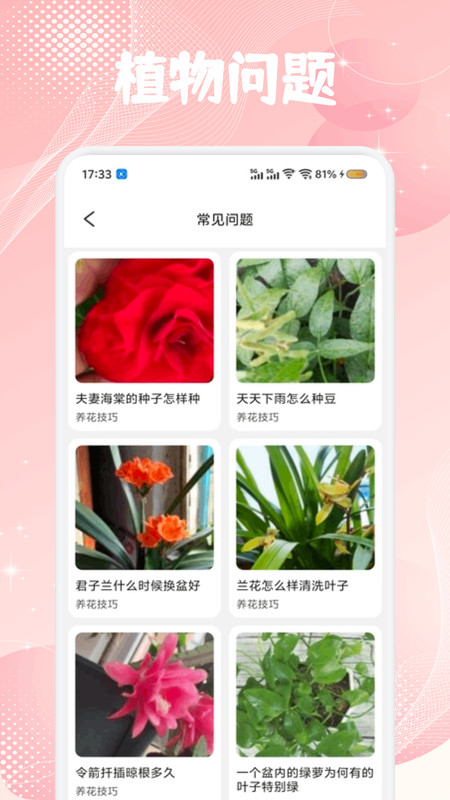 花苞百科最新版