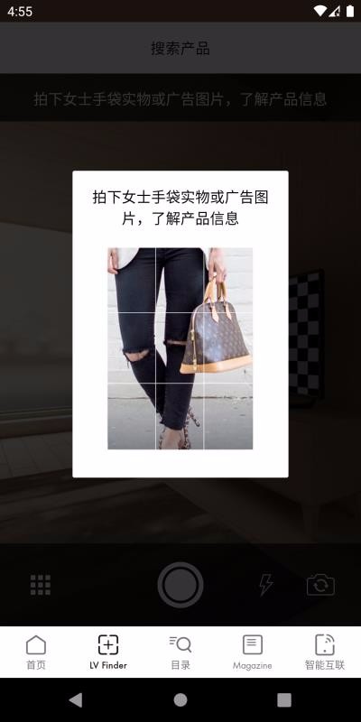 Louis Vuitton通用版图2