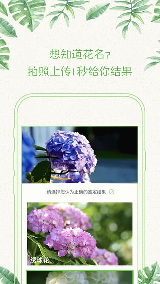 形色免费版图3
