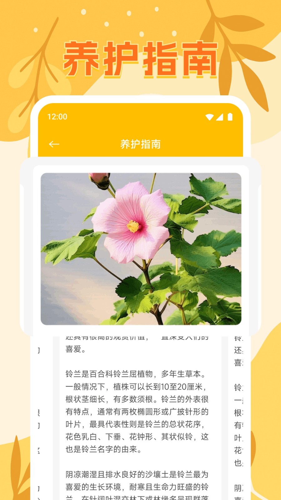 鲜花开满园免费原版图4