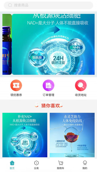 芊福芷原版图4