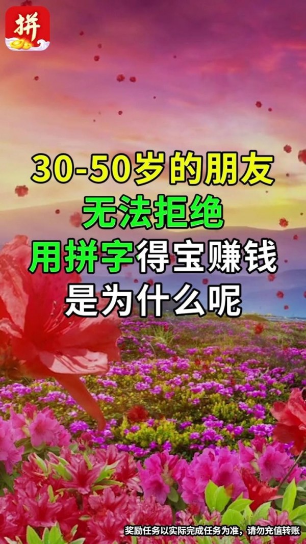 拼字得宝手机最新版图2
