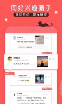 堆糖软件