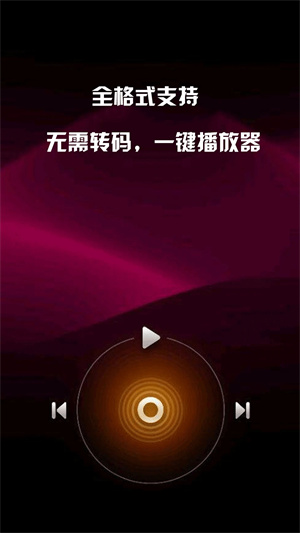 mx播放器通用版图2