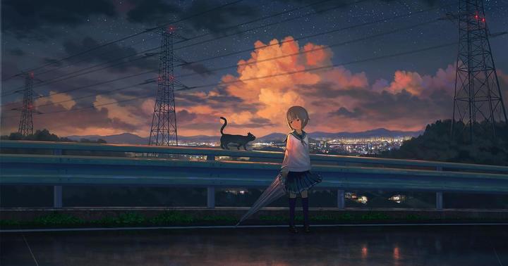 wallpaper无广告版