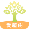 爱植树领皮肤官方正版