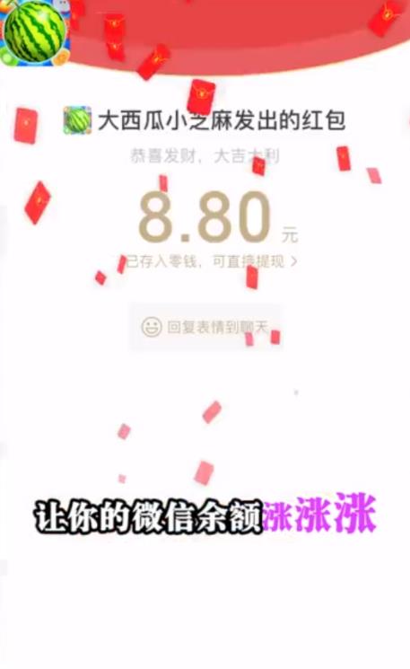 大西瓜小芝麻正版图1