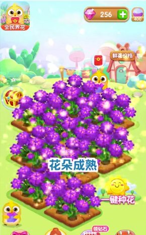 全民养花手机最新版图2