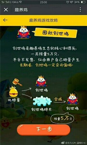 趣养鸡正版图2