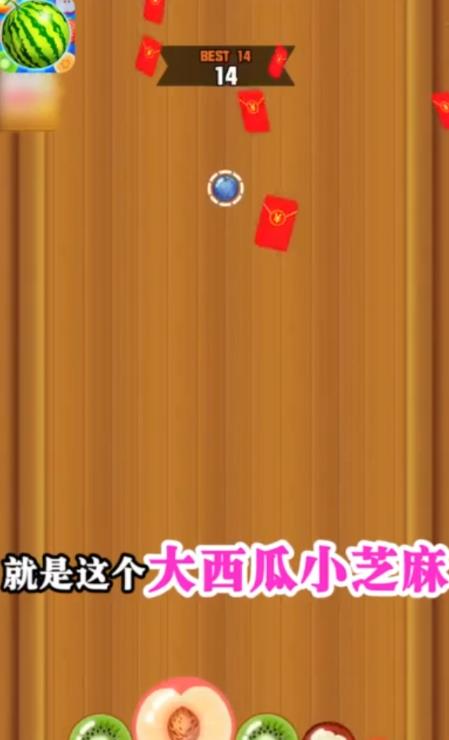 大西瓜小芝麻正版图4