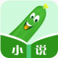 丝瓜小说安卓免费版