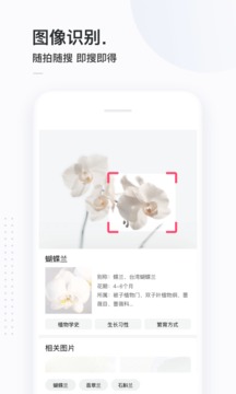 简单搜索升级版图1