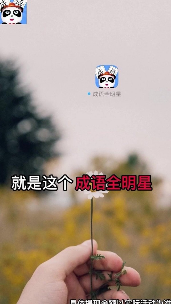 成语全明星最新免费版图3