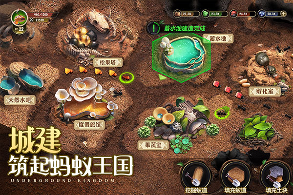小小蚁国游戏图4