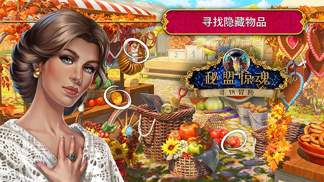秘密盟会图5