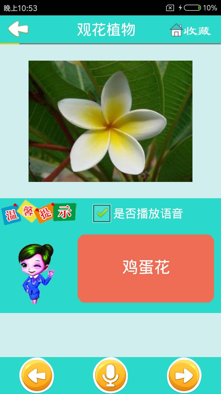 看图识花直装版图1