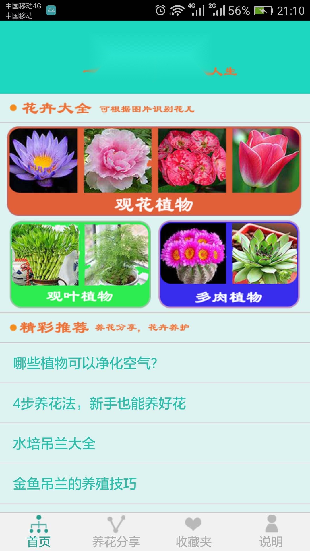 看图识花直装版图4