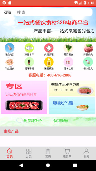 双猫(1)