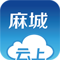 云上麻城安卓直装版
