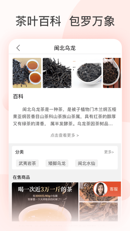 茶吉送官方正版图4