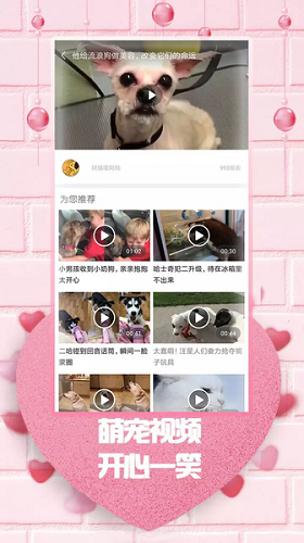 最爱韩剧安卓版图3