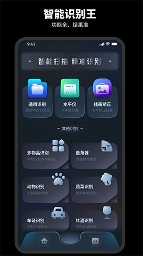 智能识别王通用版图3