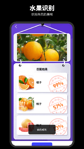 智能识别王通用版图4