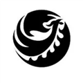 闪闪有电官方正版