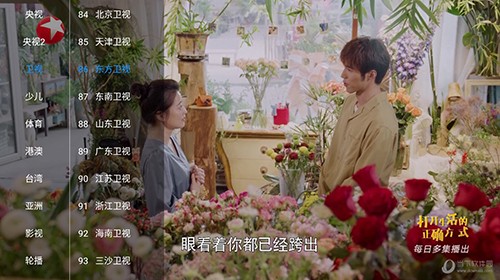 枫亭TV直装版图2