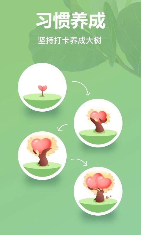 打卡森林最新免费版图3