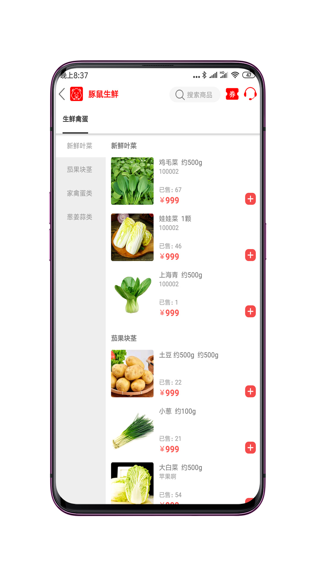豚鼠公社原版图2