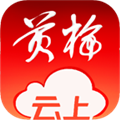 云上黄梅直装版