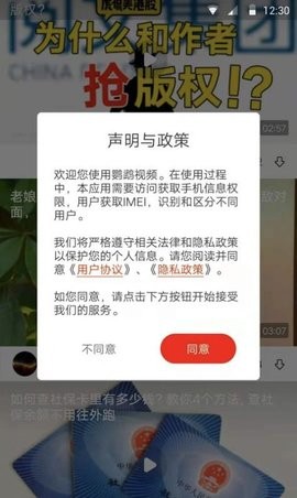 鹦鹉视频原版图3