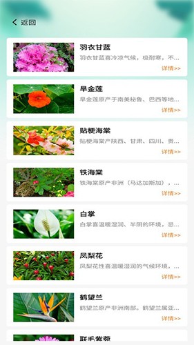百草万象园官方版图2