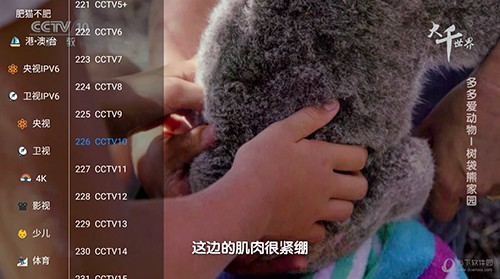 青桔TV通用版图2