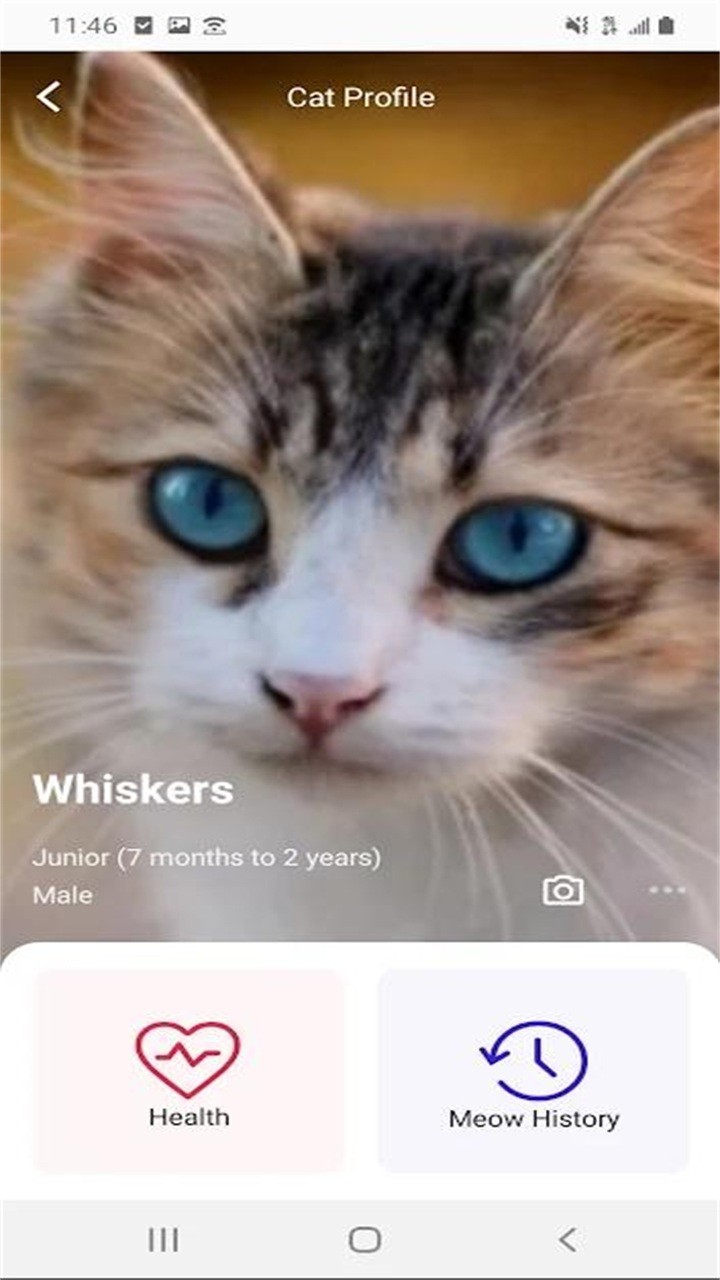 MeowTalk喵说安卓官方版图2