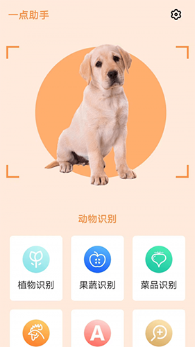 一点助手手机免费版图4