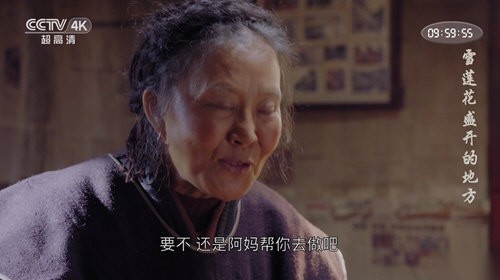 乌云影音免费版图3