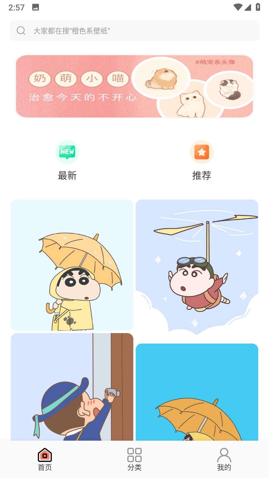 小王壁纸安卓版图4