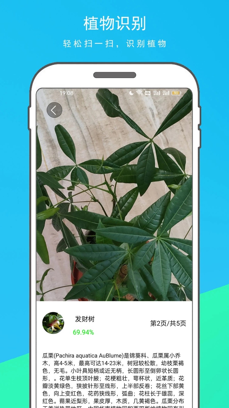 拍图识物原版图2