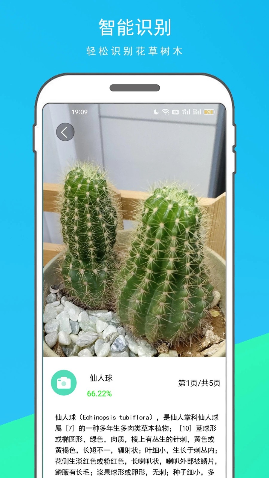 拍图识物原版图5