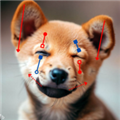 DragGAN软件官方正版