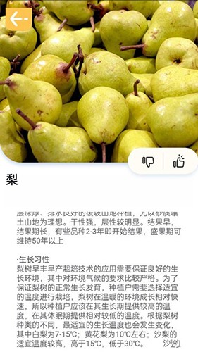 百果日记正版图1