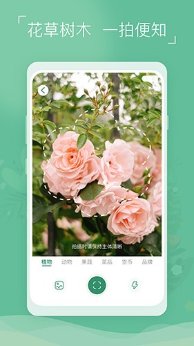 植物识别宝免费版图5