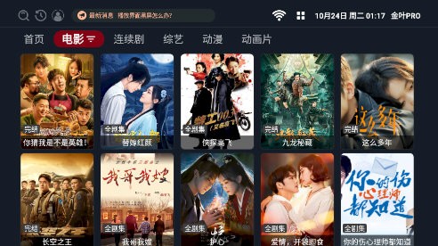 金叶PRO TV版图3