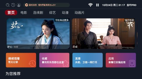 金叶PRO TV版图4