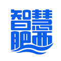 智慧肥西官方版